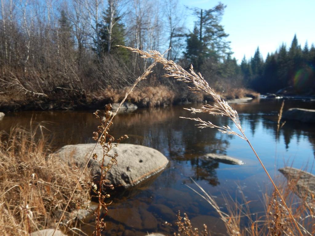 Aux Tipis De La Riviere Sauvage Villa Saint Romain Bagian luar foto