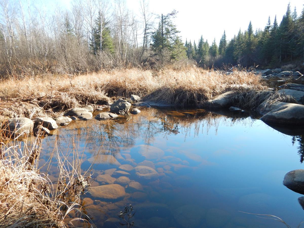 Aux Tipis De La Riviere Sauvage Villa Saint Romain Bagian luar foto