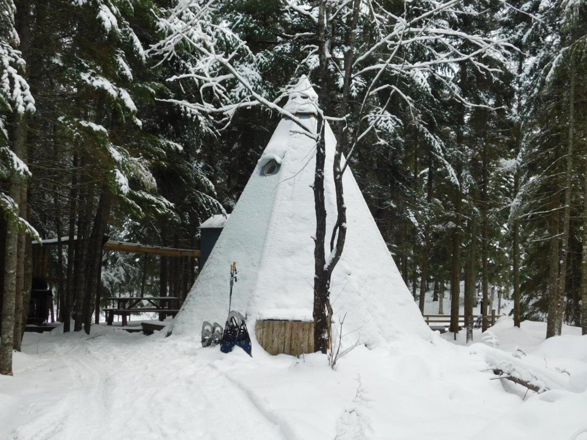 Aux Tipis De La Riviere Sauvage Villa Saint Romain Bagian luar foto